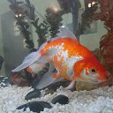 ������� �����,�������� ������ ��� �������. �� ������� ���� ����������