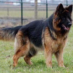 ���� �������, �������, 41 ��� - ��������� 9 ��� 2014