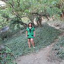 ���� �������, �����������, 53 ���� - ��������� 8 ������� 2014 � ������ �������������