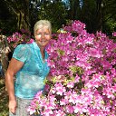 ���� ������, ���� - ��������� 11 ��� 2014 � ������ ���� ����������