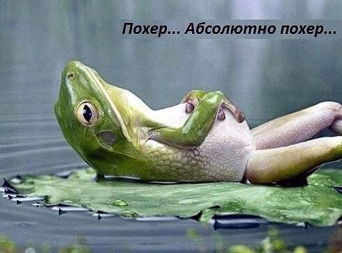   ,     ))))))) - 2