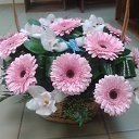  , -, 56  -  12  2014    