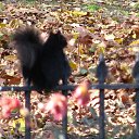 ������� �� ������� ������ �����