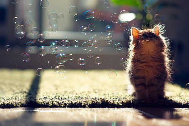 � � ���� � ������... ��� ��� ������� �������� ����!