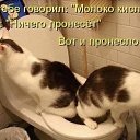 ���� Irina, ������ - ��������� 4 ��� 2014 � ������ �������