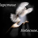 ���� �����, ����� - ��������� 15 ���� 2014 � ������ ������