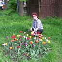 ���� �������, ��������, 67 ��� - ��������� 8 ��� 2014 � ������ ������ ��������