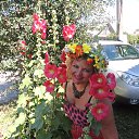 ���� ������, ������� - ��������� 20 ���� 2014 � ������ ���������� 19.07.2014�