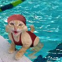 ���� ����, ���������, 46 ��� - ��������� 28 ���� 2014 � ������ ������ ��������