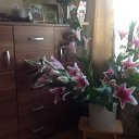 ���� Ludmila, ����, 65 ��� - ��������� 29 ���� 2014 � ������ ������ ��������