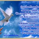 ���� ��������, ������ - ��������� 7 ������ 2014 � ������ ������ ��������