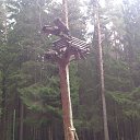    ,    =)))    ,  ????   02.03.14 