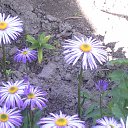 ���� ����, ������, 51 ��� - ��������� 9 ���� 2014 � ������ �������