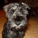 ���� ������, ������, 41 ��� - ��������� 22 ��� 2014 � ������ ���� ����������