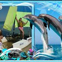 ���� �����, ��������� - ��������� 18 ���� 2014 � ������ ���� ����������