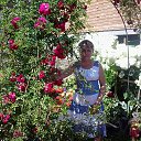 ���� ����, ����� - ��������� 12 ���� 2014 � ������ ���� ����������