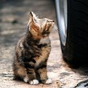 ���� ��������, �����-���������, 35 ��� - ��������� 26 ��� 2014