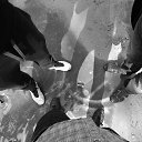 ���� ������, �����-���������, 39 ��� - ��������� 15 ���� 2014 � ������ ���� ����������