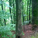  "",  -  3  2014    2014