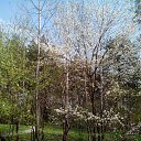 ���� Milana, ����� - ��������� 11 ���� 2014 � ������ ��� ������