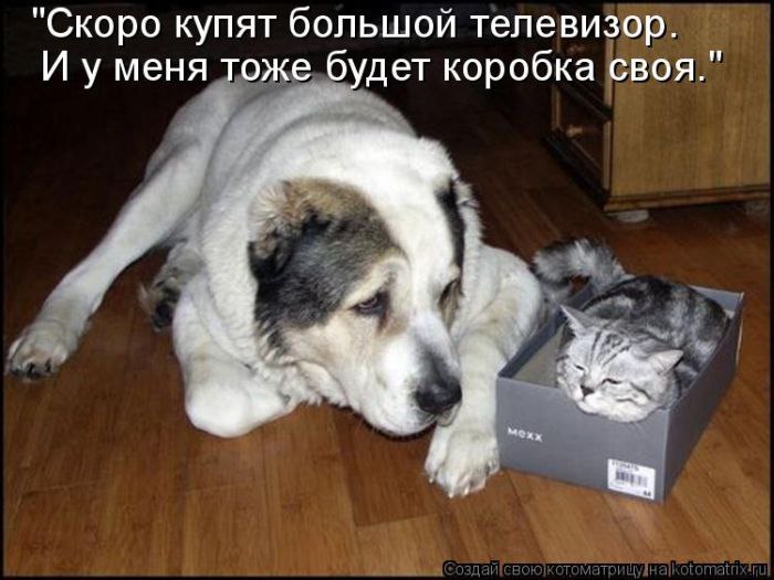   :3 - 1  2014  13:09