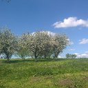 ���� ������� 89835284341, ����, 48 ��� - ��������� 25 ��� 2014 � ������ ���� ����������