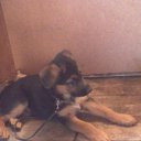 ���� ��������, �������, 47 ��� - ��������� 1 ������� 2014 � ������ ���� ����������