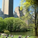 ��������� ������� �� ������� ���� ����������