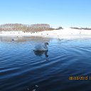 ������� ������������� ����� �� ������� �����������