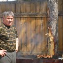 ���� ���������, ����, 68 ��� - ��������� 2 ��� 2014 � ������ ���� ����������