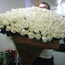 ���� ������, �������� - ��������� 17 ����� 2014 � ������ ���� ����������