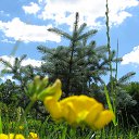 ���� �������, ������ - ��������� 29 ���� 2014 � ������ ��������.�