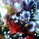 ���� ������� .), ���� - ��������� 9 ������� 2014 � ������ ���� ����������