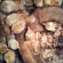 ���� ������, �����, 47 ��� - ��������� 25 ���� 2014 � ������ ������ ��������