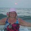 ��� ������ 2014��� �� ������� ���� ����������