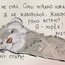 ���� �������, ����-���������, 53 ���� - ��������� 16 ����� 2014 � ������ ������ ��������