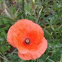 ���� �����, �������, 64 ���� - ��������� 21 ���� 2014 � ������ ������ ��������