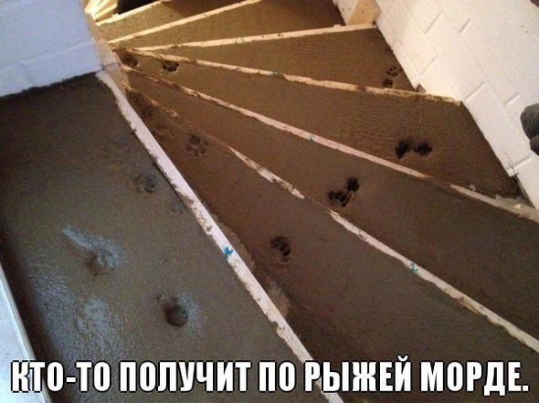 ����������� (18+) - 26 ��� 2014 � 17:24