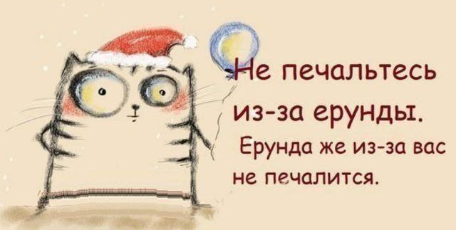 ***N I K A*** - 14 ��� 2014 � 10:57