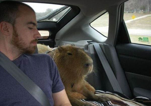      ?!))