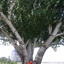 ���� ������ ���������, ��������� - ��������� 11 ������� 2014 � ������ ���� ����������