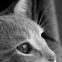 ���� ~~~���������~~~, �����-��������� - ��������� 22 ������� 2014 � ������ ���� ����������