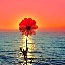 ���� Vadim Ustimenkov, �����, 48 ��� - ��������� 28 ���� 2014 � ������ ��� ���� ����� 2013�