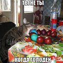���� �����, ���������� - ��������� 21 ������ 2014 � ������ ������ ��������