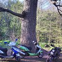 ���� �������, �������, 45 ��� - ��������� 10 ��� 2014 � ������ �����