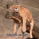 ���� ������, ���������, 44 ���� - ��������� 6 ������� 2014 � ������ ������ ��������