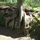 ���� ����������, ������� ��������, 63 ���� - ��������� 7 ���� 2014 � ������ ������� �������