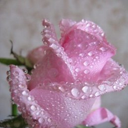 ���� �����, ��������, 48 ��� - ��������� 19 ������� 2014