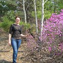 ���� �����, ����������� - ��������� 14 ��� 2014