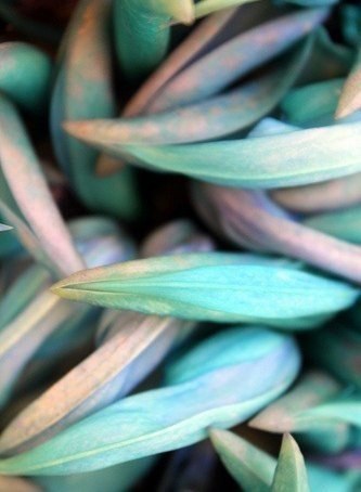   ,   ,         ,   ... - 4